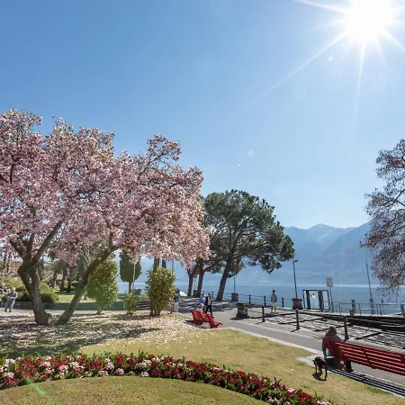 Residenza Moro By Interhome Daire Ascona
